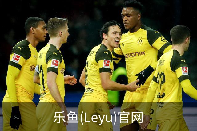 乐鱼(Leyu)官网公司简介图片
